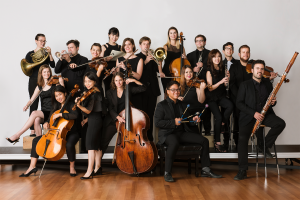 carnegies ensemble connect at rite of summer
