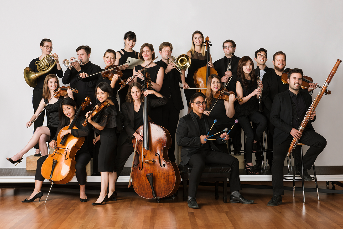 carnegie halls ensemble connect portrait 2018