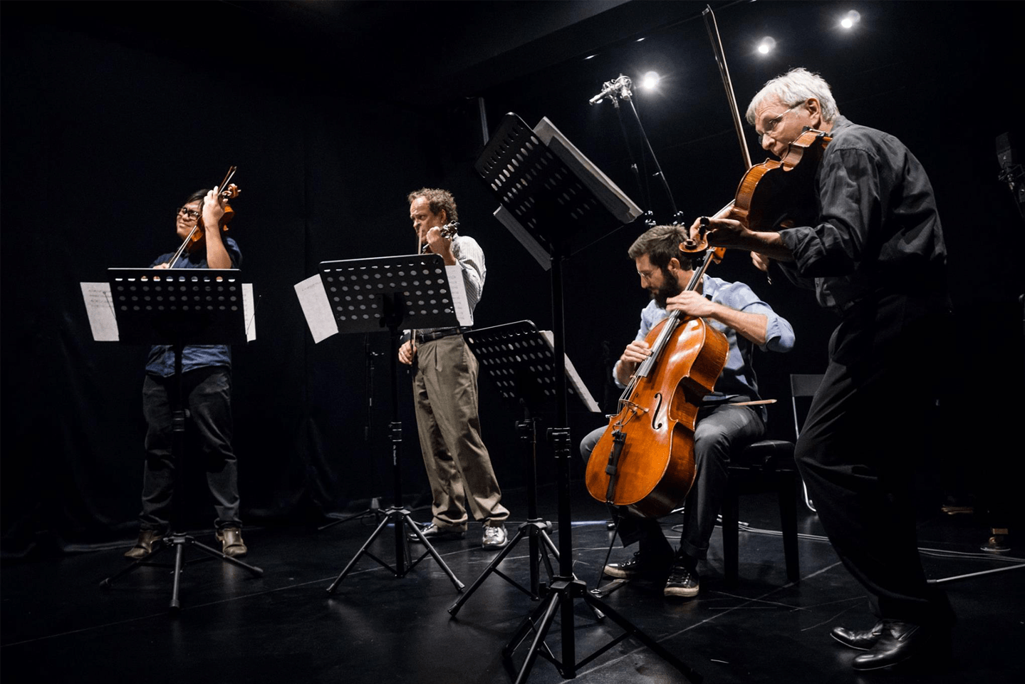 sirius quartet musicians portrait